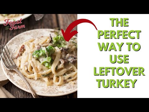 Leftover Turkey Tetrazzini