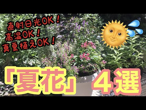 夏の花を花束にするためのヒント