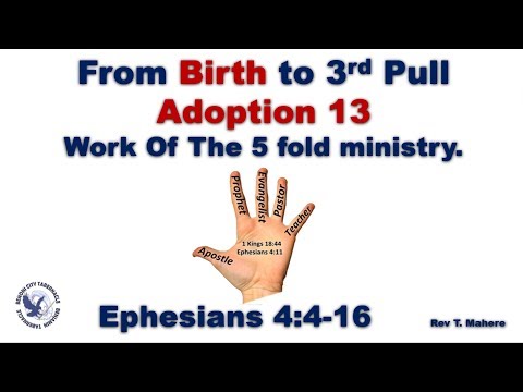 181018e From Birth to 3rd Pull Adoption 13 - Rev T. Mahere