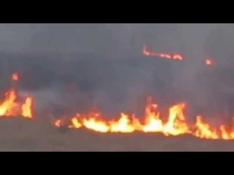 Sertão Do Virador video