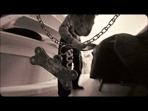 GAL - C PAS BAMBI C LE CERF (EP dispo)