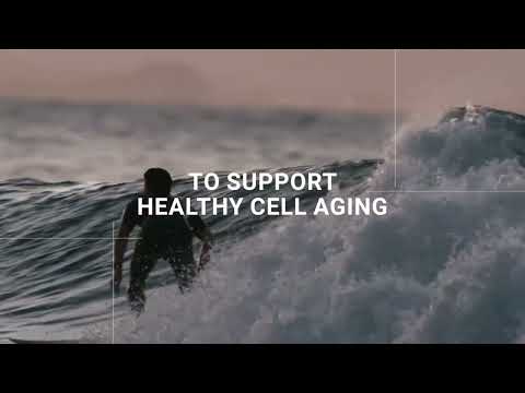 Tablet 4 life transfer factor renuvo, 120 capsule, non presc...