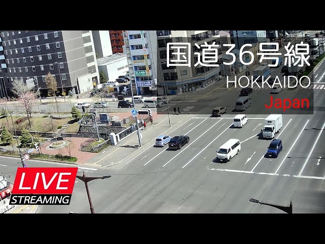 【LIVE】道路状況・札幌市国道36号線と創成川の状況 【LIVE】道路状況・札幌市国道36号線と創成川の状況