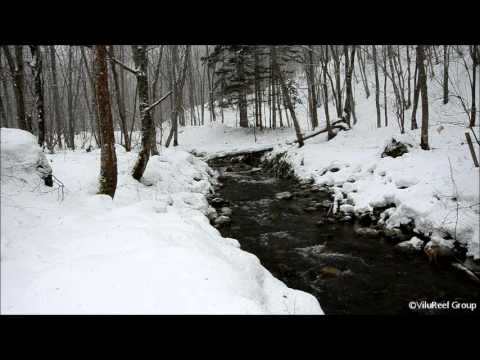 Snowstorm River 60 min/Nature Sounds Winter