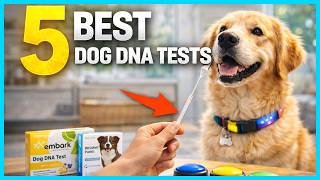✅ Top 5 Best Dog DNA Test Kits Reviewed for Accuracy and Val