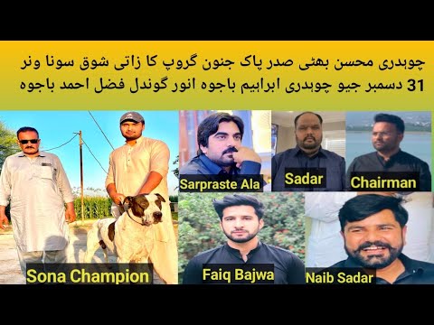 All Pakistan Champion Dog Name Sona Owner Ch Mohsin Bhatti Sadar Pak Janoon Group