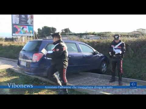 download lagu mp3 mp4 Arrestato Albanese, download lagu Arrestato Albanese gratis, unduh video klip Arrestato Albanese