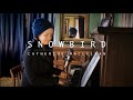 SNOWBIRD - Catherine MacLellan
