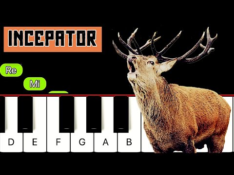 [INCEPATORI] Cum doreste un cerb | Tutorial Pian USOR complet Cristian Chifan