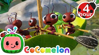 Download lagu Row, Row, Row Your Boats More | Cocomelon - Nursery Rhymes | Fun Cartoons For Kids mp3 Download lagu Row, Row, Row Your Boats More | Cocomelon - Nursery Rhymes | Fun Cartoons For Kids mp3