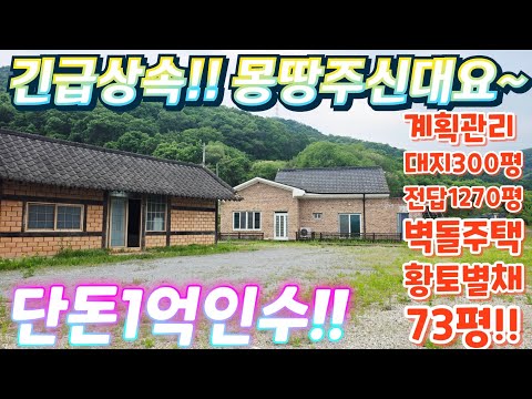 몽땅주신대요~청정지역.2차선인근. 산밑자락~회장님별장2탄.대지와…