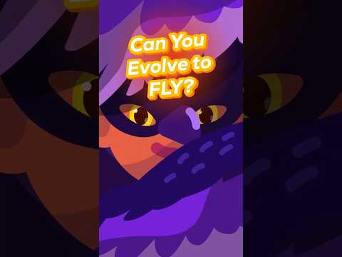 Could Humans Evolve Flight?