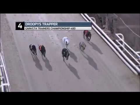 2019 TRAINERS CHAMPIONSHIP - 480 - T4 DROOPYS TRAPPER