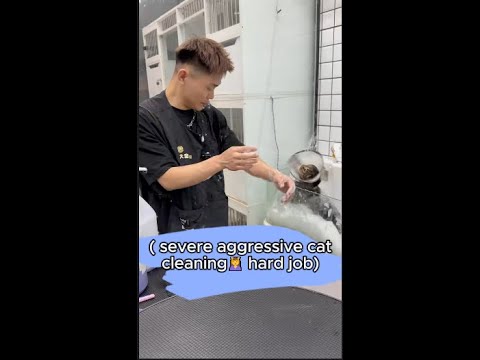 Hiren🤖 | ( severe aggressive cat cleaning💆‍♀️ hard job)