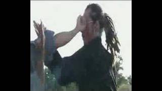 Shaolin vs Rogue Monk