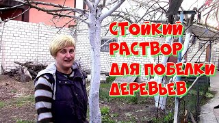 Ссылка