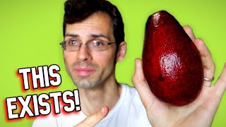 RED AVOCADO - Looks Cool, but Does it Taste Good? - Weird Fruit Explorer