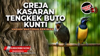 Download lagu 🔴Live Masteran Tembakan Panjang Kasar Greja Tengkek Buto Srigunting Abu vs Cucak Cungkok Super Kunti mp3