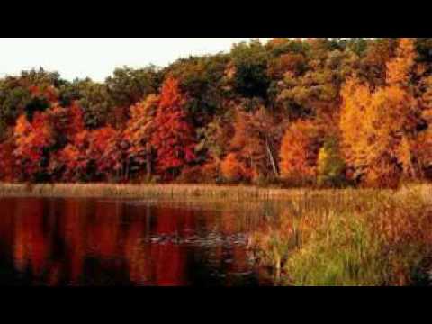 Grande  sei  Signore