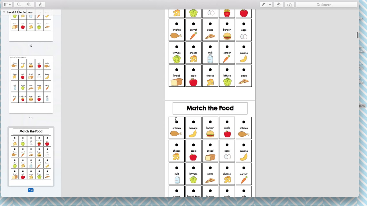 Product Preview -  Language Arts Level 1 File Folder Activities