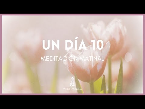 Morning Meditation for a Wonderful Day!! 🦋