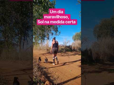 Caminhada sertaneja Santa Rita Vianópolis Goiás Brasil #interiordegoias #musica