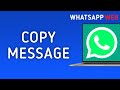 How to Copy Message in WhatsApp Web