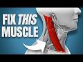 This MAGIC Muscle Can Fix All Your Neck Problems
