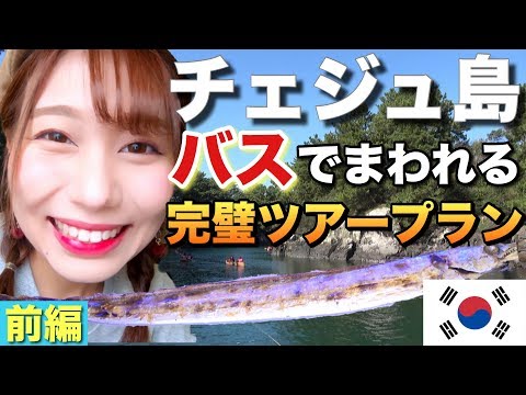 O passeio de ônibus pela Ilha de Jeju é tão incrível que você pode ir aos lugares onde os ídolos do K-POP passaram de ônibus [Viagem da Coreia à Ilha de Jeju (Ilha de Jeju) Parte 1]