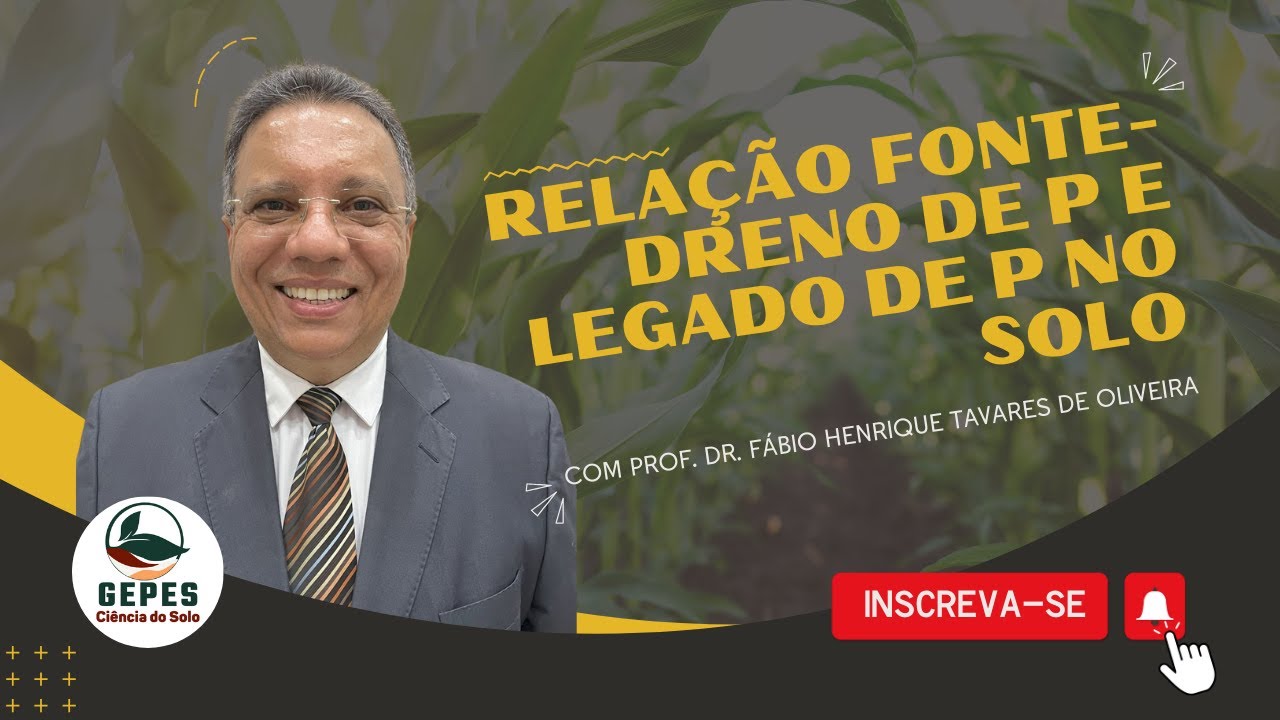 Fósforo no solo: relação Fonte-Dreno e Legado de P no solo