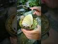 Eating Japan’s Flowing Bamboo Noodles 🍜 | Nagashi Somen Experience