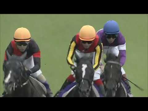 2022.06.05 Yasuda Kinen (JPN) - Songline