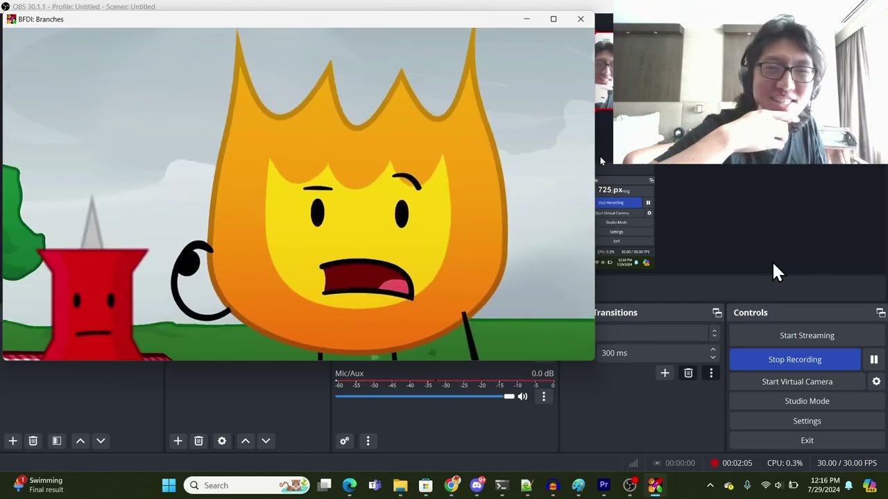 CARY PLAYS BFDI BRANCHES