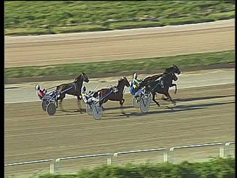 Trotto 20/04/2018 - prova di qualifica