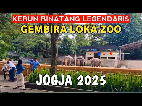 𝗝𝗢𝗚𝗝𝗔 | Tur komplit jalan-jalan kebun binatang Gembira Loka Zoo Yogyakarta.