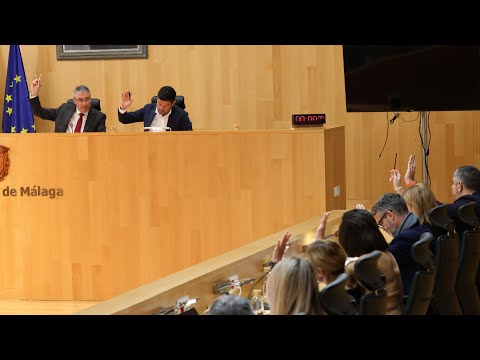 Pleno ordinario de la Diputacin de Mlaga. Febrero de 2024