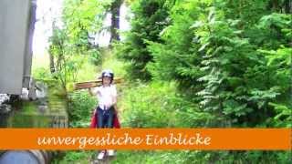 preview picture of video 'Ferienpark Oberwiesenthal im Sommer'