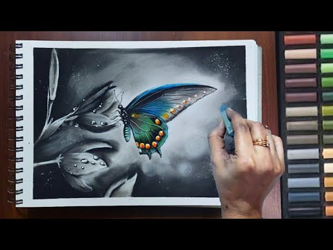 Step by Step Draw Realistic Butterfly for beginners -...