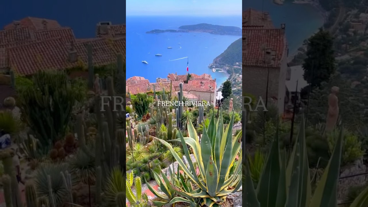 YouTube Short thumbnail