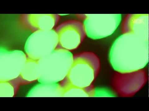 UNDER THE BIG BRIGHT YELLOW SUN - Threshold ( Live at #SinceTomorrow )