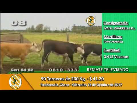 18-10-17 - Remate Televisado de Ivan O Farrell - Chaco