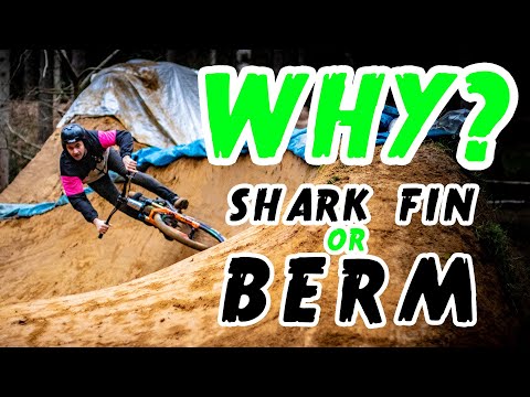 KIING OF SPADES - Why no SHARK FIN!?