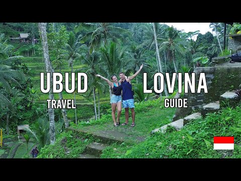 Swimming with Dolphins | Ubud & Lovina, Bali | Travel Guide