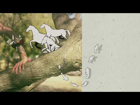 Sophie lies - Ο ΑΝΘΡΩΠΟΣ ΠΟΥ ΘΕΛΩ (official audio)