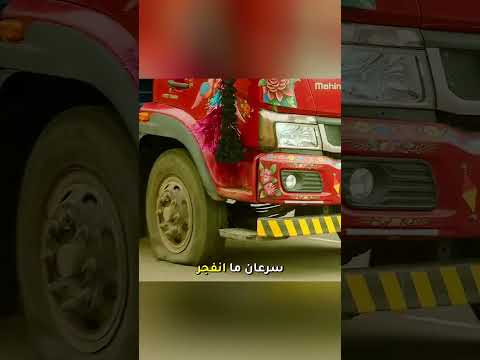 الرجل لم يصدق ما فعلته هذه الغوريلا! 😱🦍