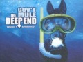 Gov't Mule - Beautifully Broken - The Deep End Vol. 1