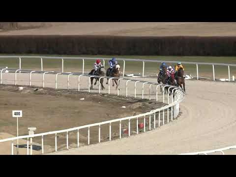 2021.03.21. 04. futam - PAPOLCZY GÉZA EMLÉKVERSENY HENDIKEP (II.o.) (szintetikus p.)