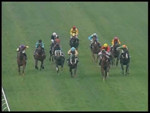 2017-03-11 Macau Meeting Race 4(0186) - SJM CHARITY TROPHY