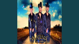 Como La Flor (En Vivo) Lyrics English Translation