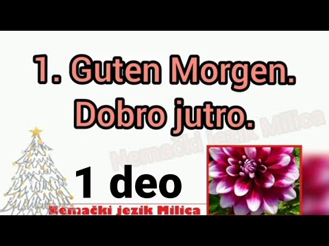 250  KRATKIH I LAKIH RECENICA-RECI-PITANJA  A1 NIVO  / PRVI KORISNI IZRAZI U NEMACKOM JEZIKU